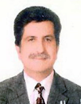 Prof. Dr. Kenan Gürsöy