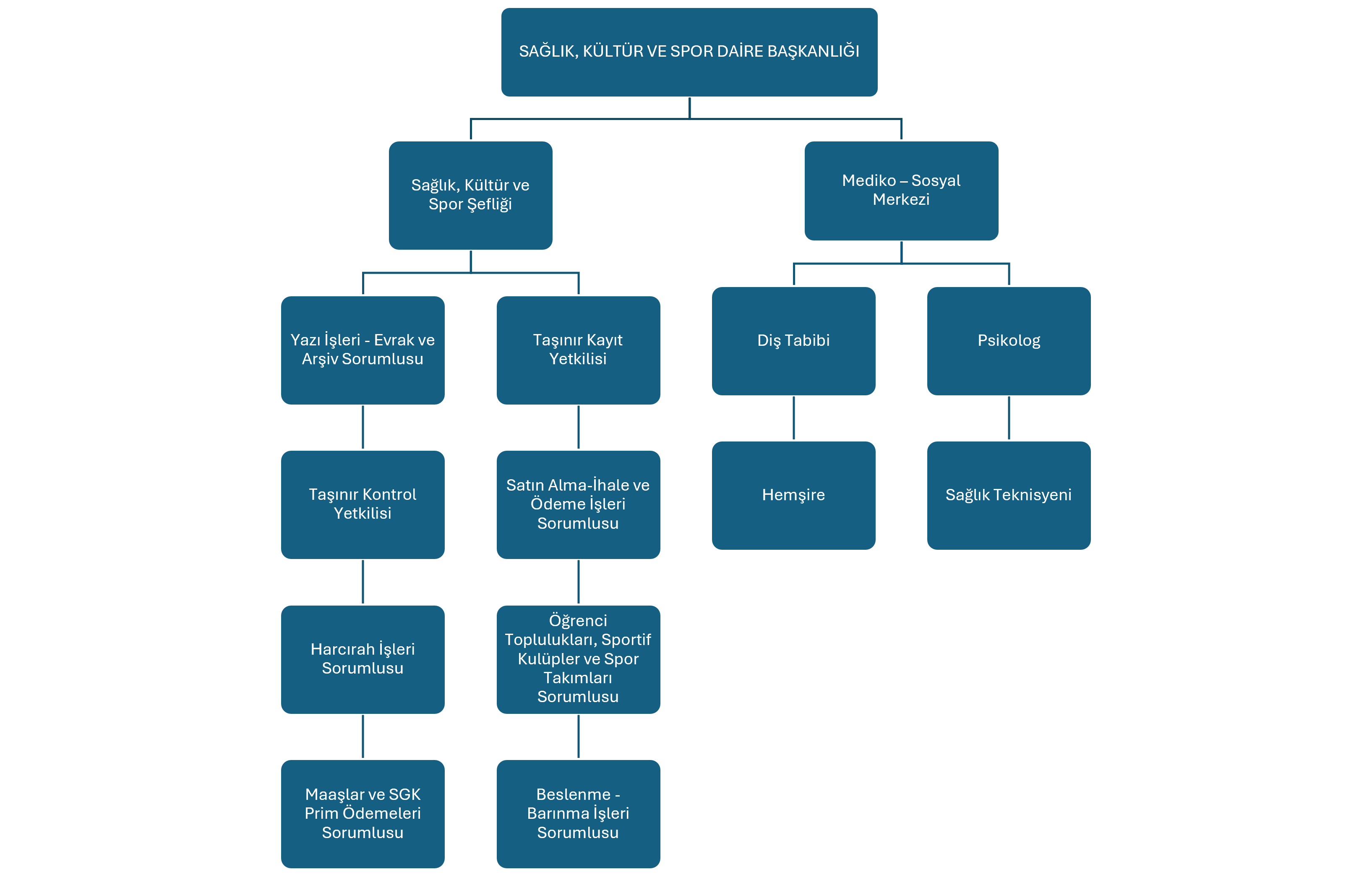 Organizasyon Şeması